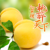 请不要问我我的黄桃有多甜
