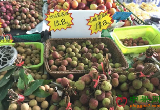 浙江五月水果价格同比涨幅大！ ()