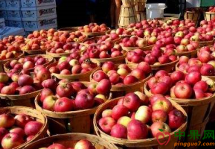 山西太原：水果价格陆续下滑 ()