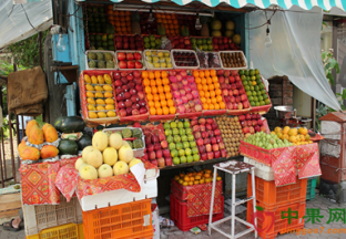 山东临沂：应季水果价格回落明显 ()