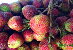 浙江杭州：杨梅、荔枝大量上市 ()