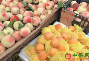 浙江湖州：“水果自由”美梦成真 ()