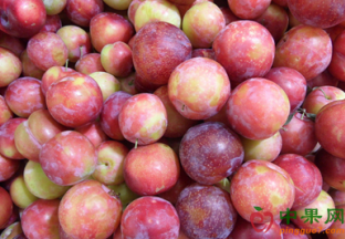 浙江舟山：时令鲜果价格走低 ()