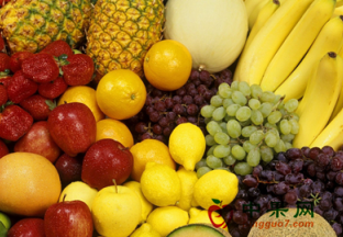 浙江嘉兴：上半年果品交易量稳中有增 ()