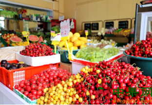 四川德阳：时令水果价格滑落 ()