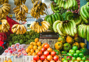 内蒙古：水果货源继续增加 ()