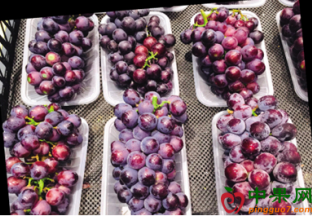 浙江嘉兴：时令水果量大价廉 ()