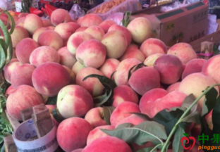 农业农村部：水果价格步入季节性下行走势 ()