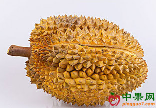 马来西亚榴莲进入中国市场 ()