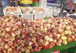 时令鲜果量大价低 ()