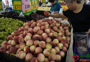 内蒙古鄂伦春自治旗：2019年7月15日-21日水果价格专题分析 ()