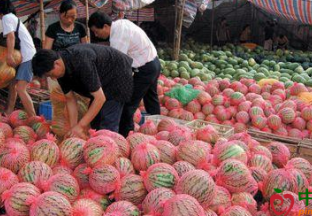 水果价格下半年或回归理性价位 ()