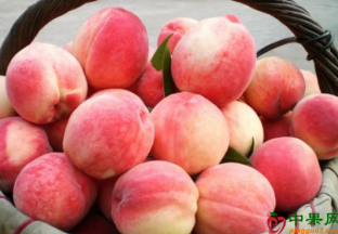 平谷大桃进驻北京周末集市 ()