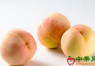 上海组建鲜果产销链志愿者队伍 ()