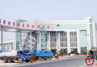 江苏凌家塘市场：西瓜俏销 水果看涨 ()