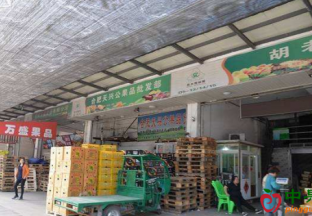 安徽合肥：应季水果量大价低 ()