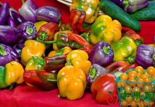 摆脱产销困局 创新农产品发展格局 ()