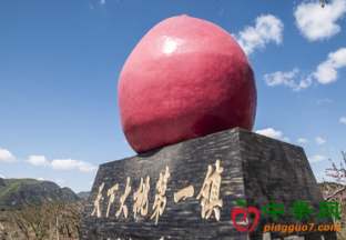 北京平谷：电商齐发力 大桃卖出好价钱 ()