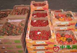 法国水果蔬菜减产 价格飙升 ()