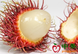 越南水果需继续提高品质确保出口 ()