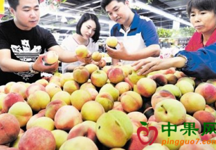 江苏苏州：水果价格高位回落 ()