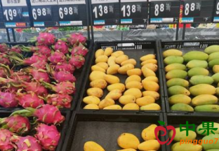 山东济宁：水果价格整体回落 ()