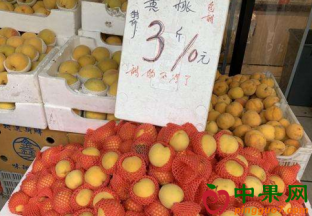 江苏苏州： 鲜果价格回落 水果自由可期 ()