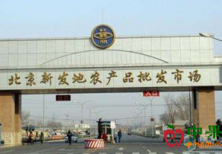 北京新发地：水果价格继续回落 ()