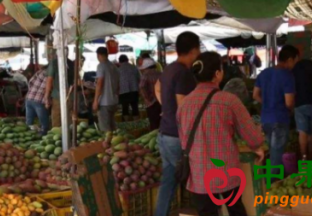 辽宁阜新：8月份水果类价格小幅走高 ()