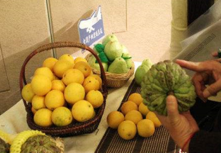 贵州安顺：引种台湾名优水果 振兴乡村经济发展 ()