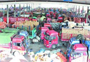 山东省枣庄：秋令水果大量上市 ()