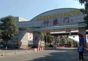 北京：水果价格明显低于去年 ()