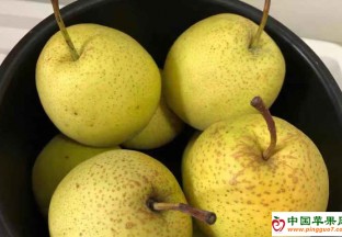 水果价格下降明显 预计节后继续低位运行 ()