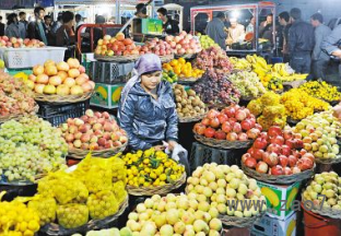 第六届新疆特色果品交易会开幕 ()