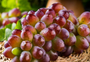 辽南水果丰收 果农有赔有赚 ()