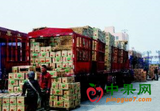 内蒙古鄂伦春自治旗： 水果市场购销两旺 ()