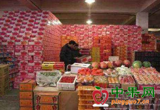 山西：春节市场水果价格便宜了 ()