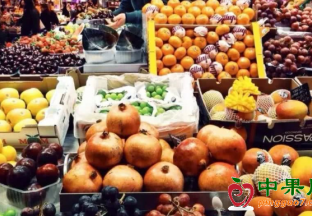 春节前水果价格将去年下滑明显 ()