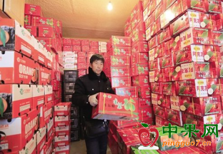 内蒙古包头：价格普降三成 水果销售进入高峰 ()