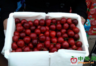 进口水果畅销 国产水果打出品质牌 ()