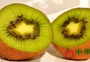 陕西猕猴桃产量继续大幅增加 ()