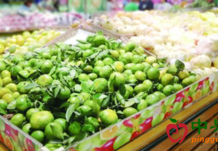 秋季水果登场  你“水果自由”了吗？ ()