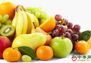 河北：水果价格微幅波动 ()