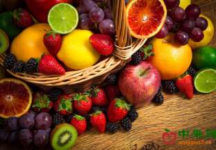 河南：水果价格下跌 ()