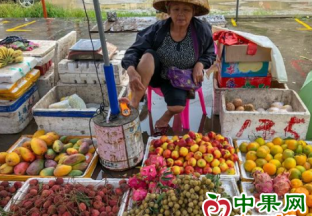 海南：荔枝两元一斤 ()