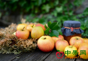 英国脱欧恐造成部分果蔬关税飙升 ()