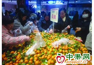 江西上饶：柑橘类水果刮起“橙色风暴” ()
