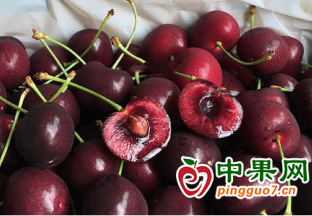 车厘子“大部队”到货 售价普遍下调 ()