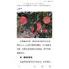 供应红富士苹果