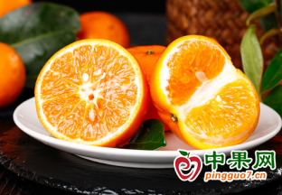 1728箱武鸣沃柑出口马来西亚 ()